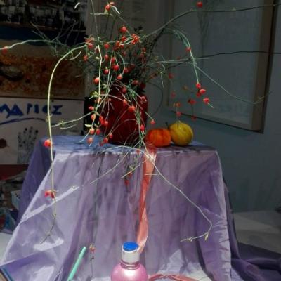 4b Nekri Fisi Medium